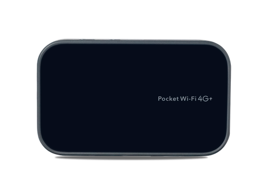 POCKET WIFI 4G+ MF19